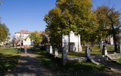 GAL Freidorf are de dat 1,5 milioane de euro și pregătește anul 2020